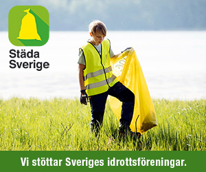 Logga för Städa Sverige.