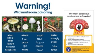 VIKTIG information om giftiga svampar/wild mushroom poisoning