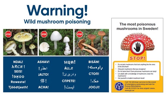 VIKTIG information om giftiga svampar/wild mushroom poisoning